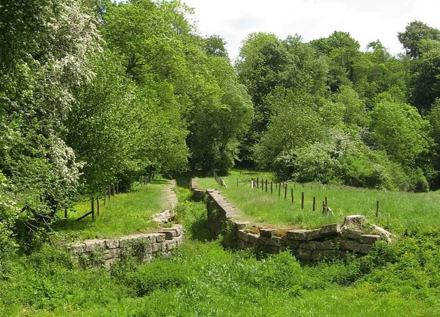 An image depicting the trail South Stoke Loop via Limestone Link and its surrounding area.