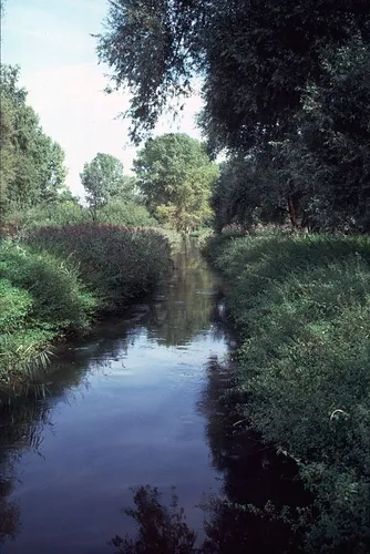 Rehbach-Teich, Eichenweg, Hammerbergspitze and Kraftwerk Hemfurth Loop via Am Eschelsberg