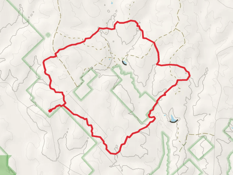 Four Notch Trail and Lone Star Hiking Loop Trail
