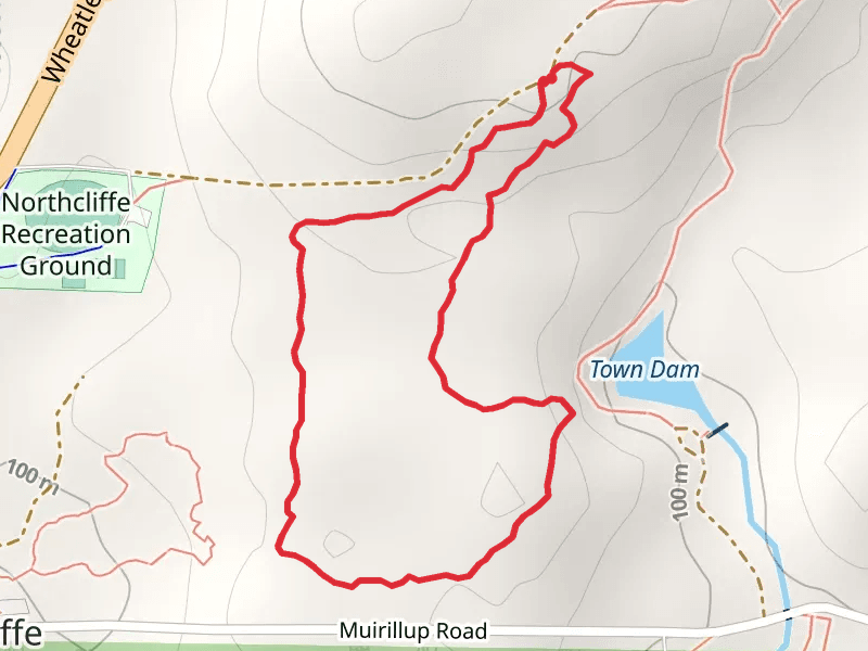 Northcliffe Forest Park Walk