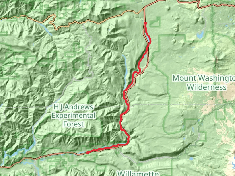 McKenzie River Trail