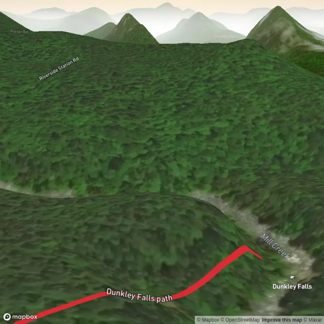 An image depicting the trail Dunkley Falls Path and its surrounding area.