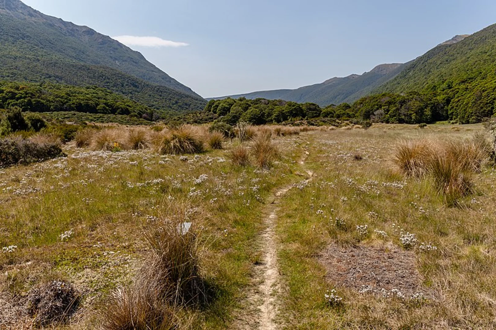 An image depicting the trail Trilobite Hut to Fenella Hut and its surrounding area.
