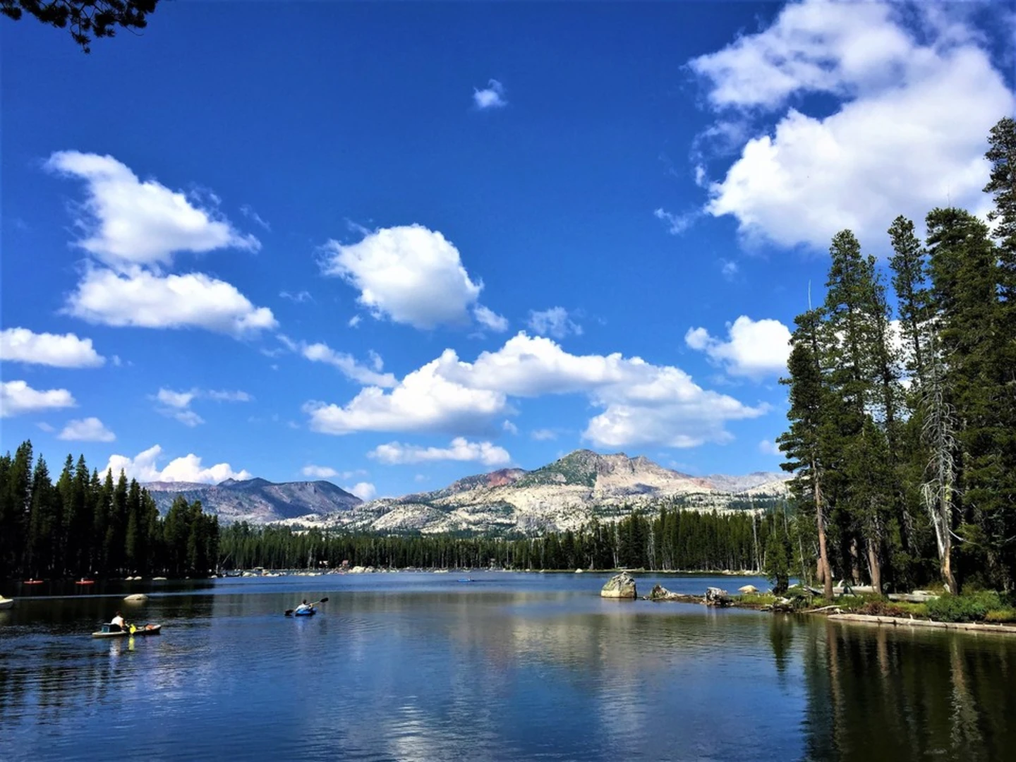 An image depicting the trail Lake Schmidell via Blakely Trail and its surrounding area.