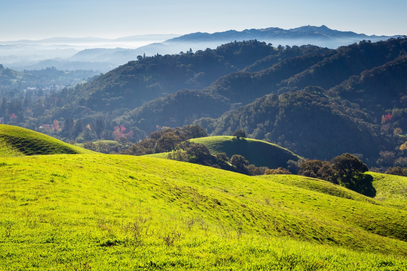 An image depicting the trail Lafayette Ridge Trail and its surrounding area.