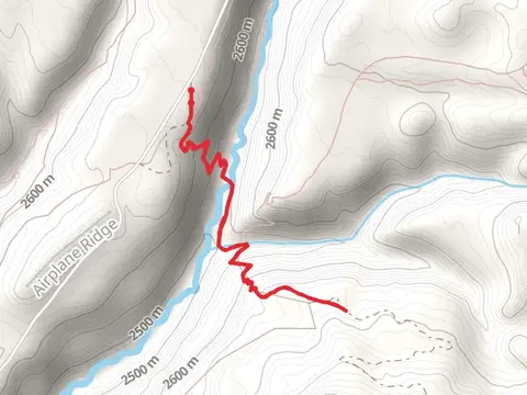 Coyote Park Trail