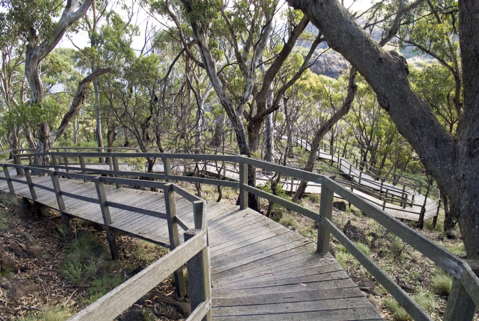An image depicting the trail The Governor Summit - Corrunbral Borawah Track and its surrounding area.