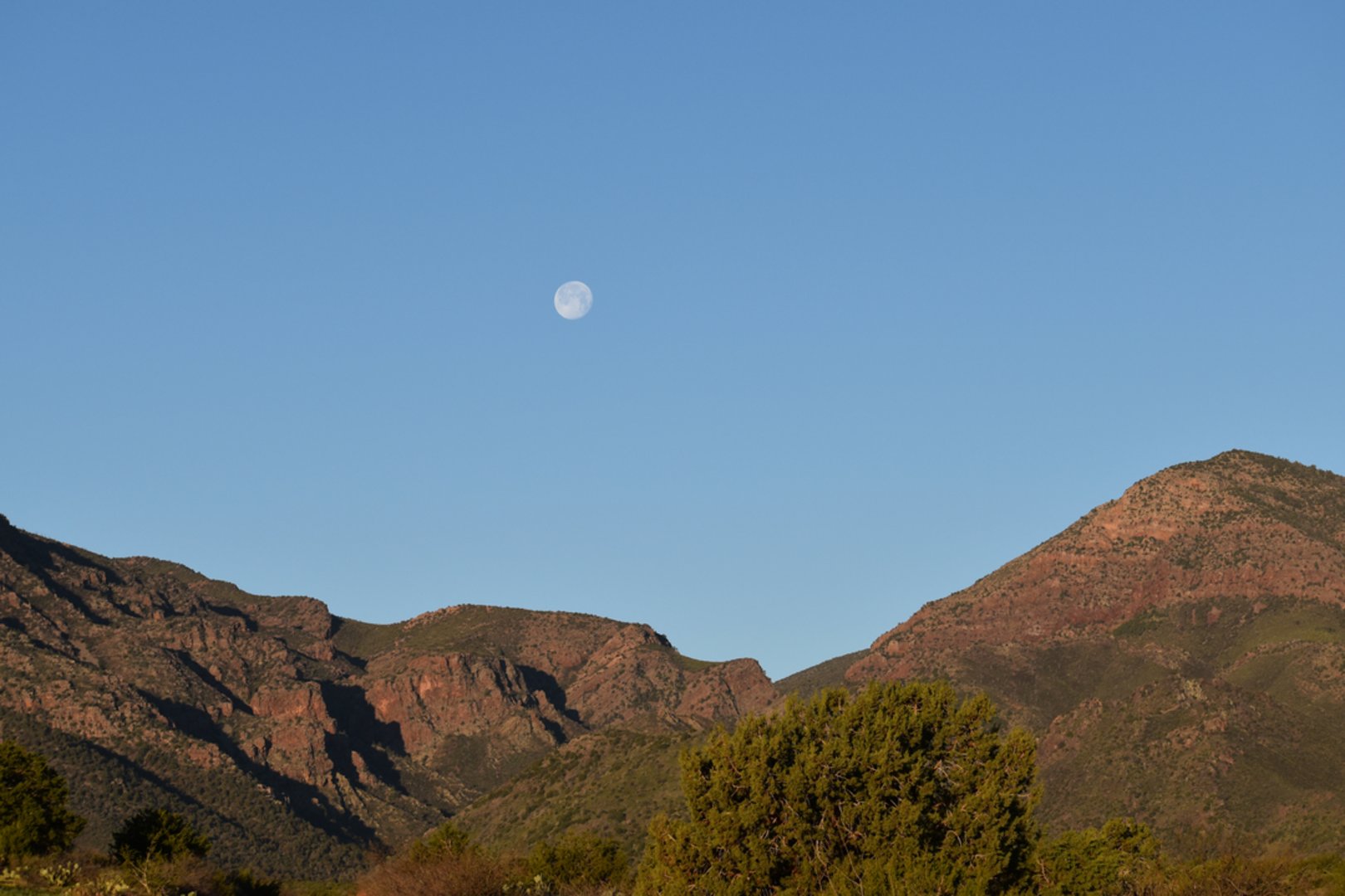 An image depicting the trail Willow Springs Trail and its surrounding area.