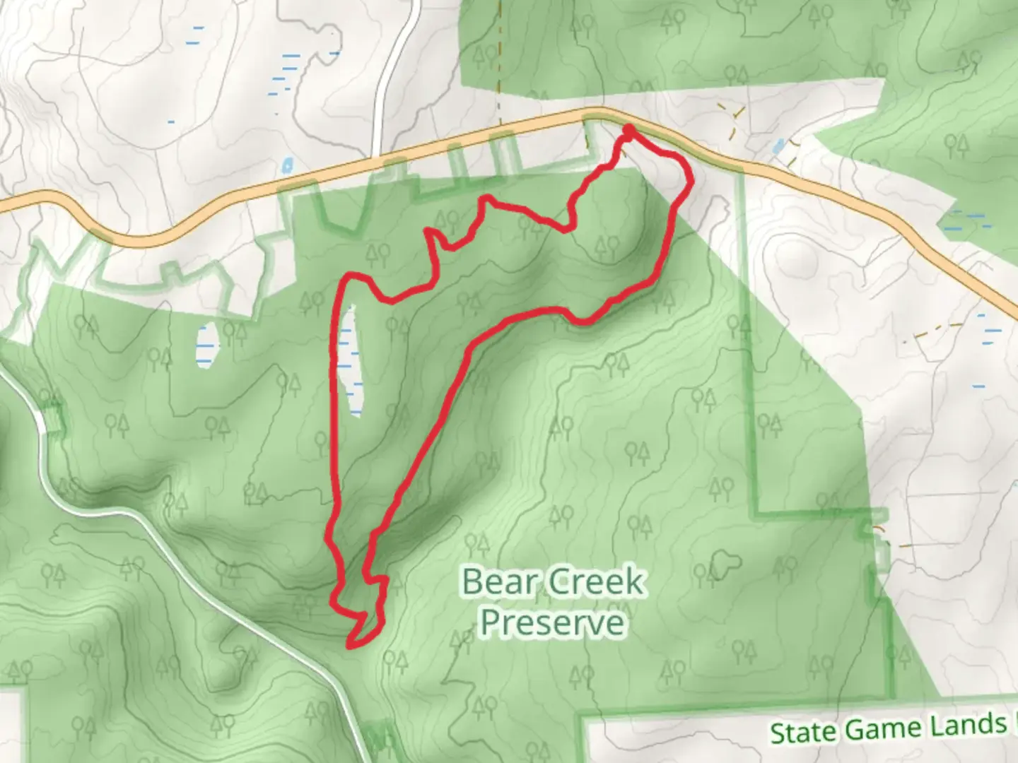 An image depicting the trail Shades Creek Loop Trail from Shades Glen and its surrounding area.