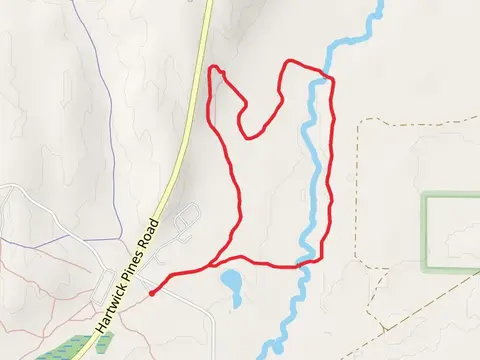 Au Sable River Trail Loop