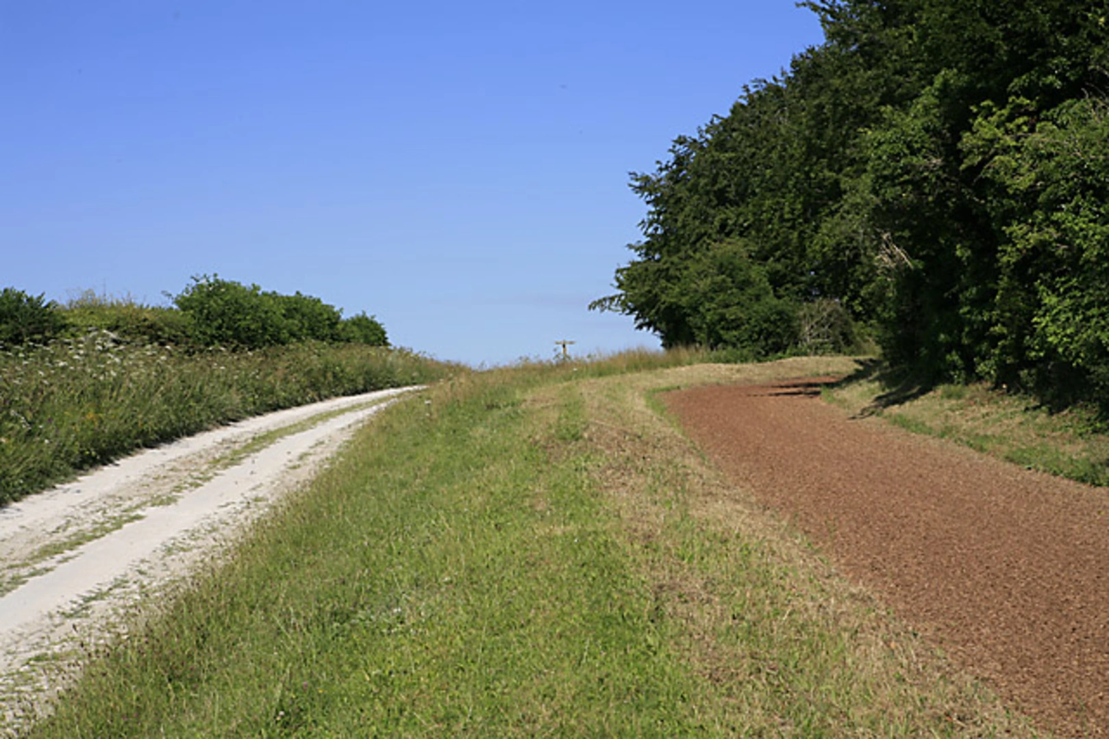 An image depicting the trail Kingsclere to Sydmonton Loop and its surrounding area.
