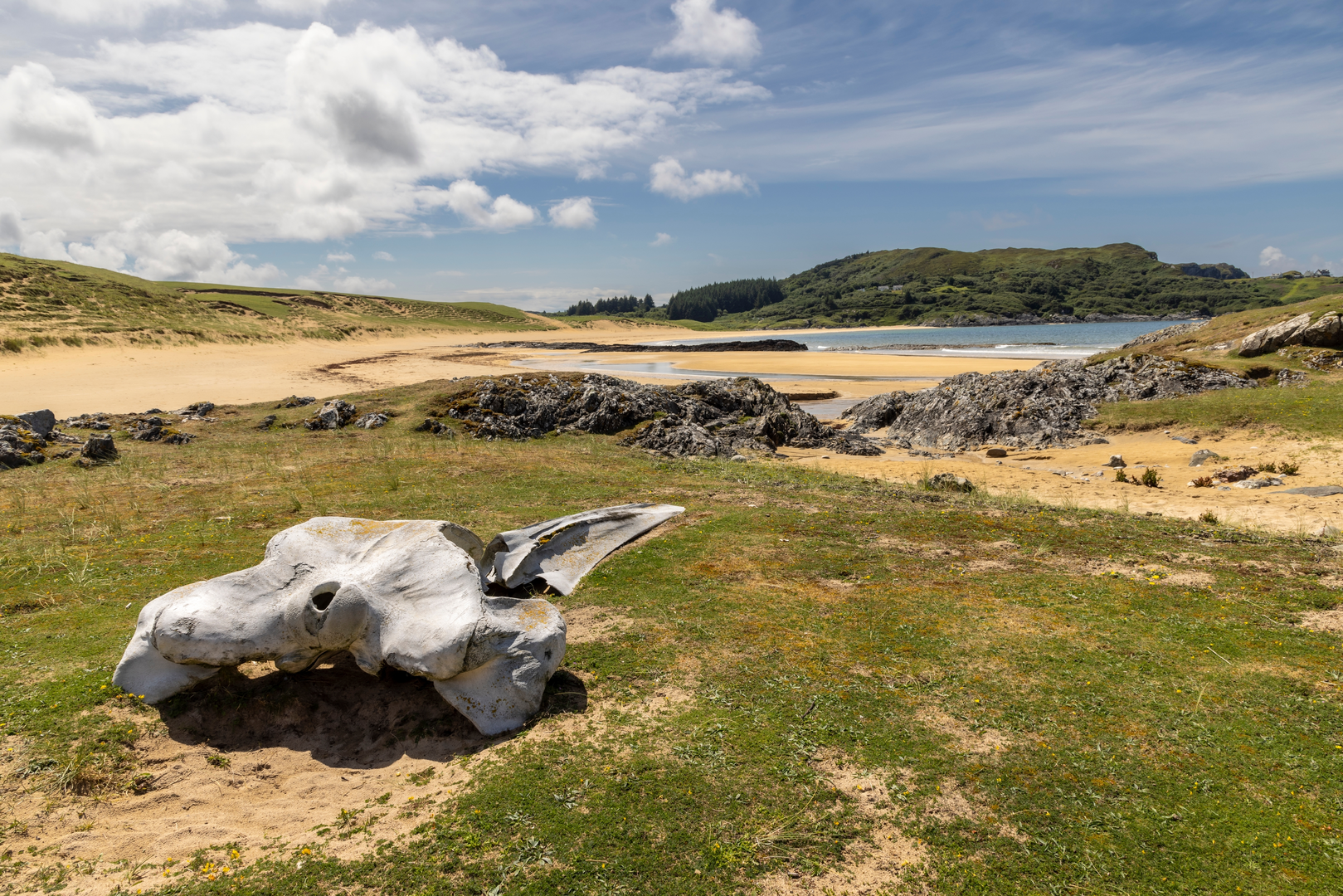 An image depicting the trail Scalasaig to Kiloran Bay and its surrounding area.