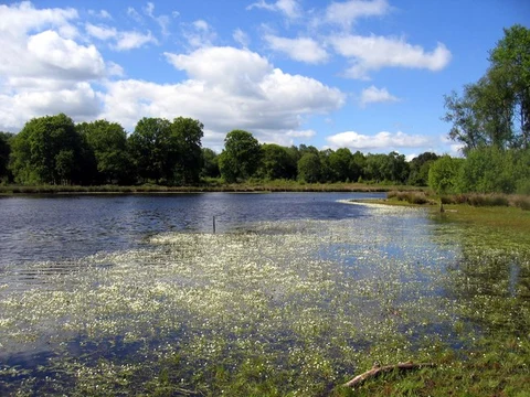 Brown Moss Nature Reserve