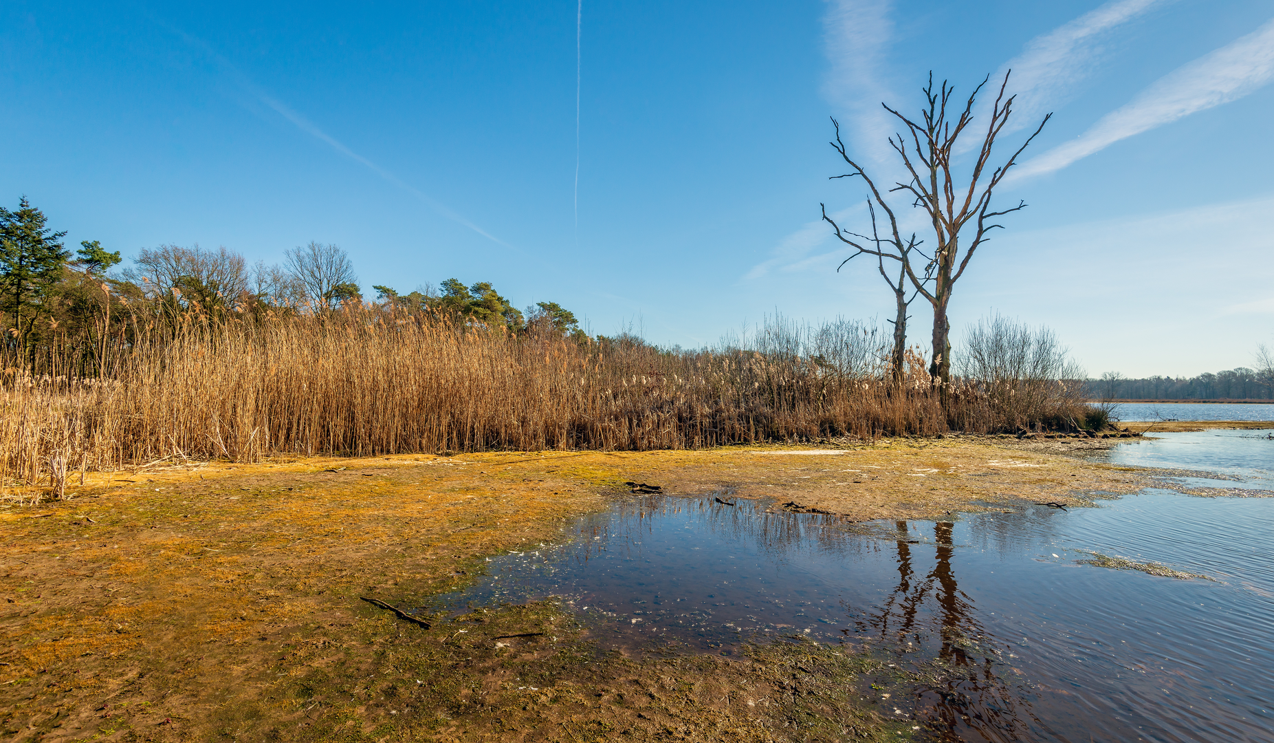 An image depicting the trail Mastbos, Mastenlaan, Lange Dreef and Vlonderpad Loop and its surrounding area.