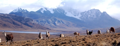 Cordillera Real Traverse