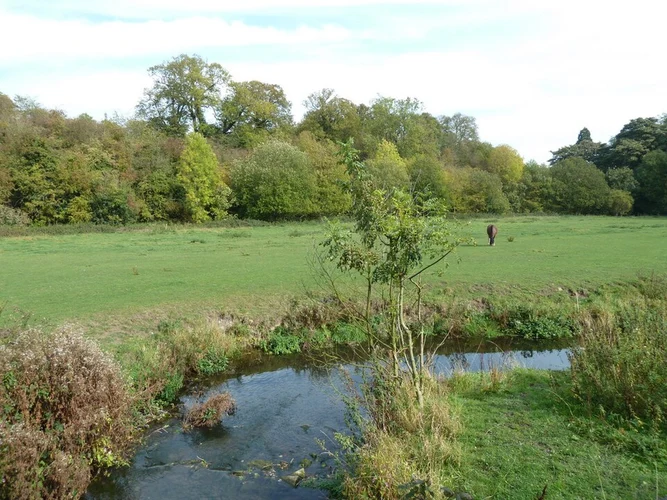 Meden Trail Nature Reserve