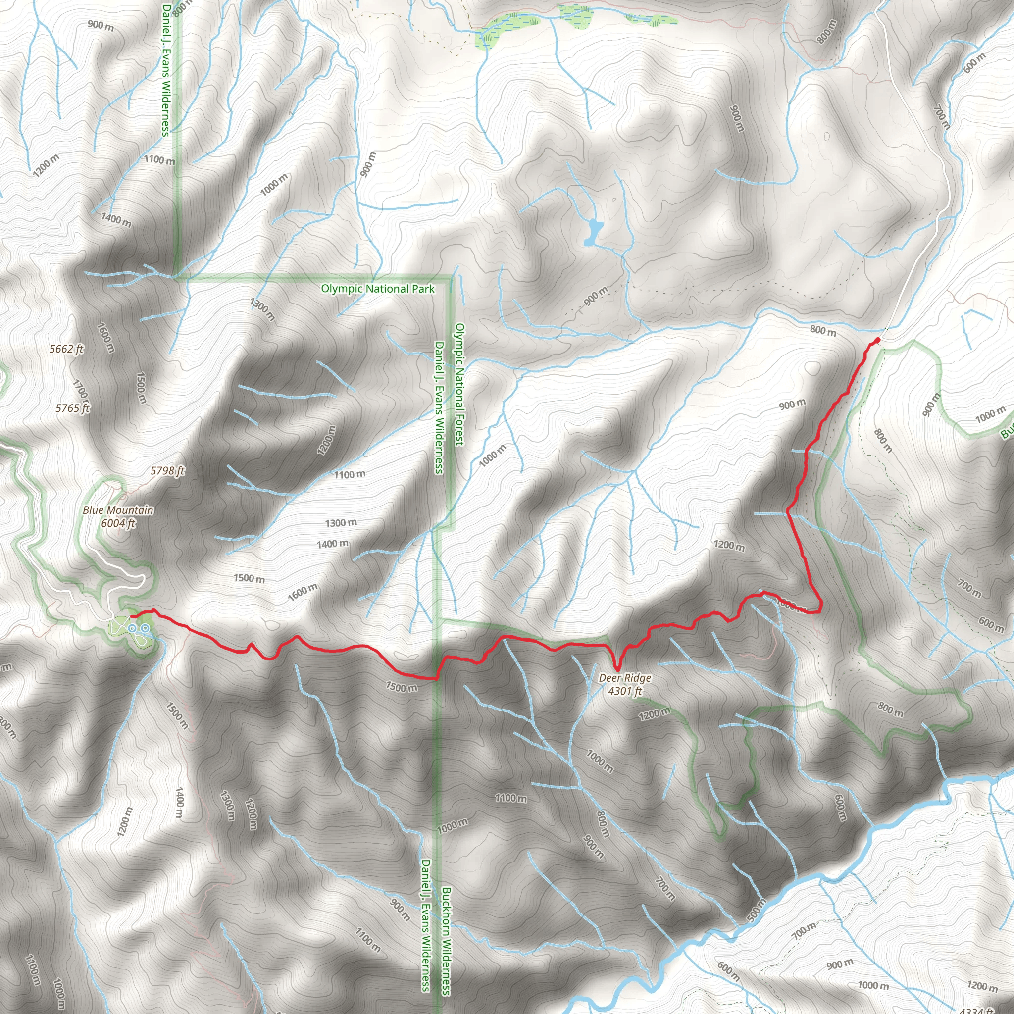Deer Ridge and Three Forks Trail | Clallam County | Washington