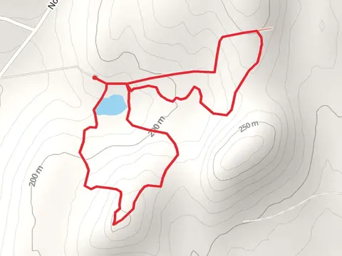 Yellow and Red Loop Trail via Derby Road