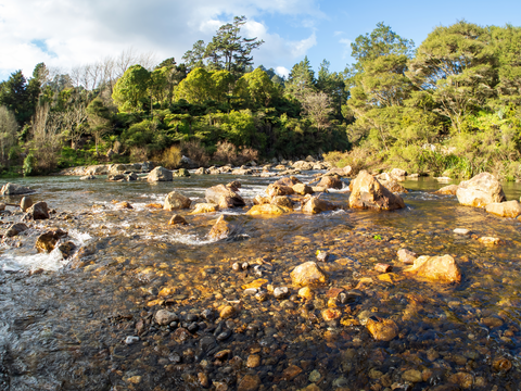 Historic Walkway to Waikino