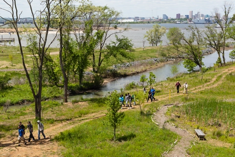 Meadow Trail