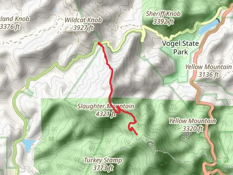 Coosa Backcountry - Duncan Ridge Trail
