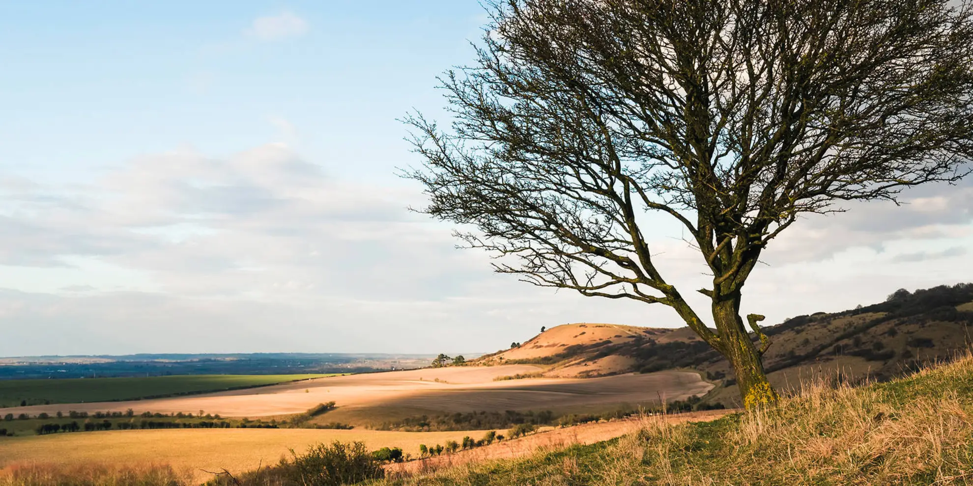 An image depicting the trail Ivinghoe Beacon Ridgeway from Aldbury and its surrounding area.