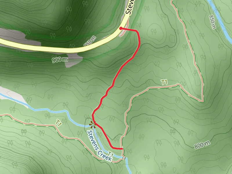 Stevens Creek Trail