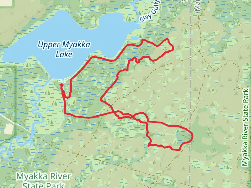 Myakka Hiking Trail Loop