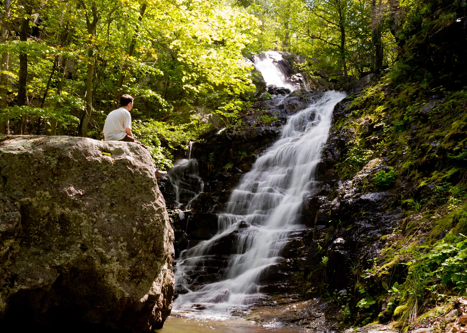 An image depicting the trail Overall Run Falls via Thompson Hollow Trail and Tuscarora Overall Run Trail and its surrounding area.