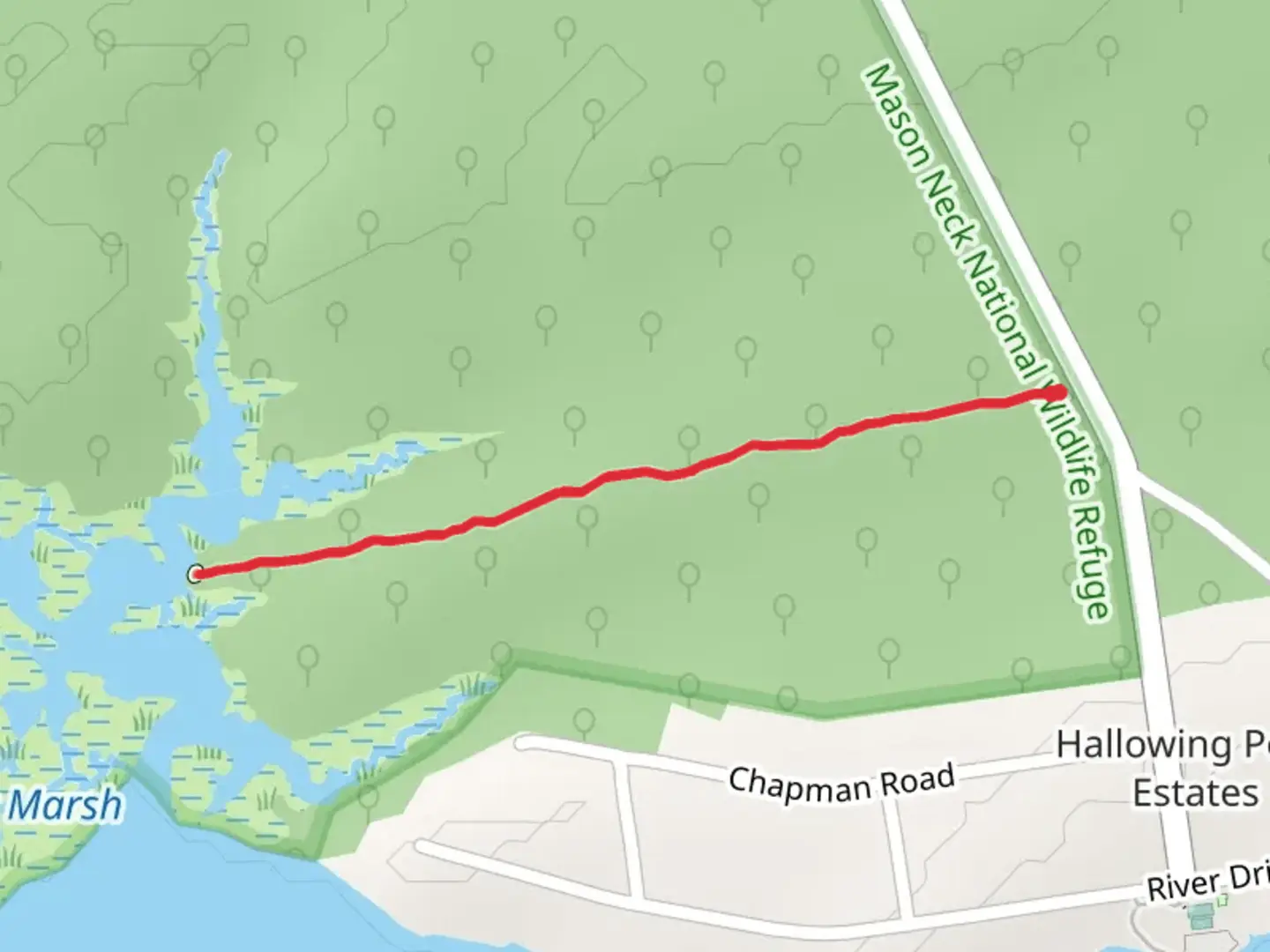 An image depicting the trail Great Marsh Trail and its surrounding area.