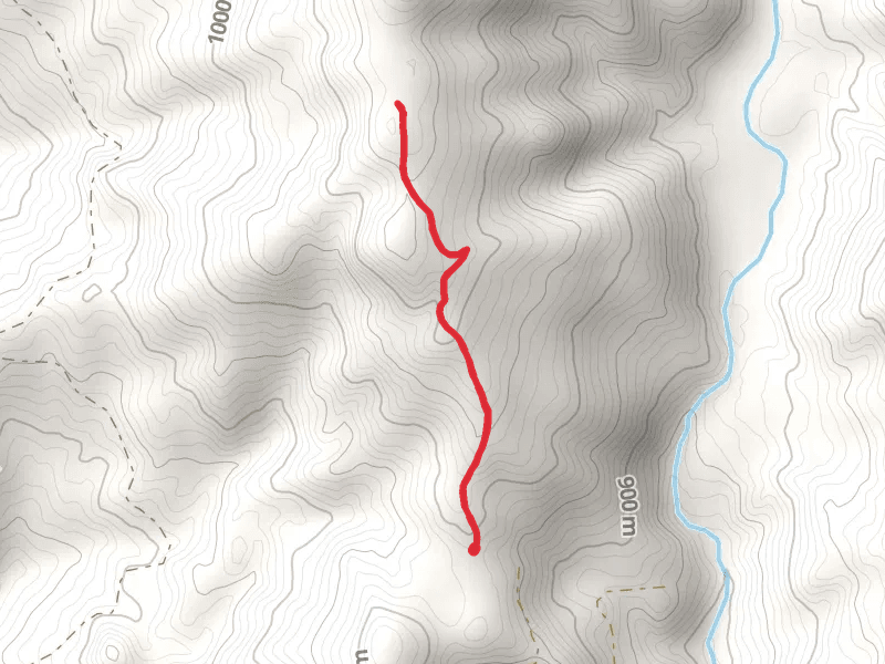 Panther Lake Trail