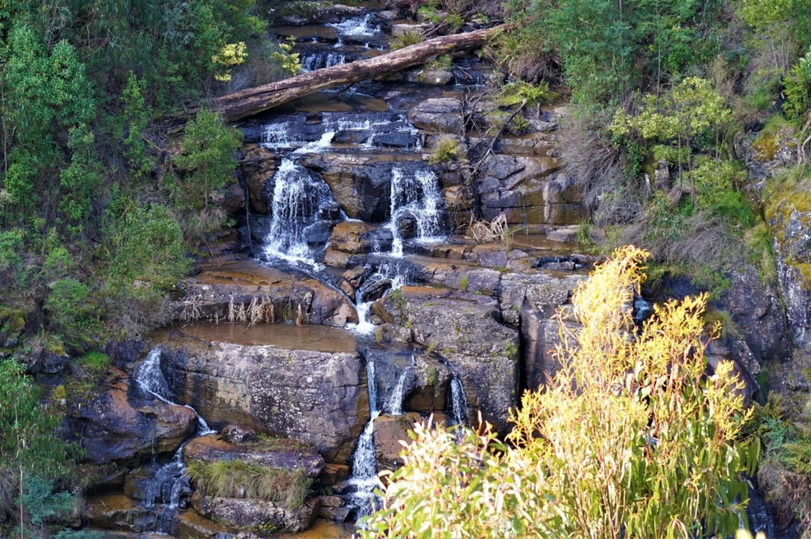 An image depicting the trail Masons Falls Circuit Trail and its surrounding area.
