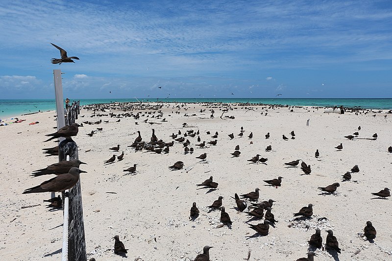 An image depicting the trail Michaelmas and Upolu Cays National Park and its surrounding area.