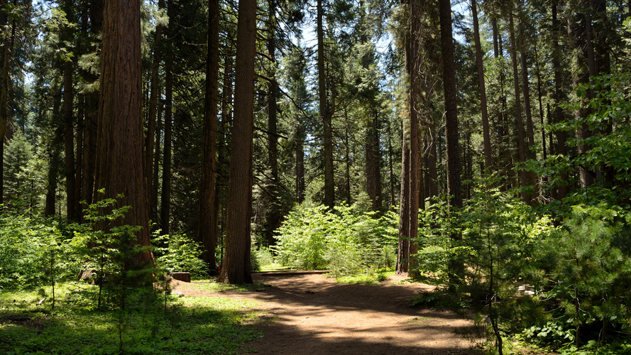Lava Bluffs Loop Trail