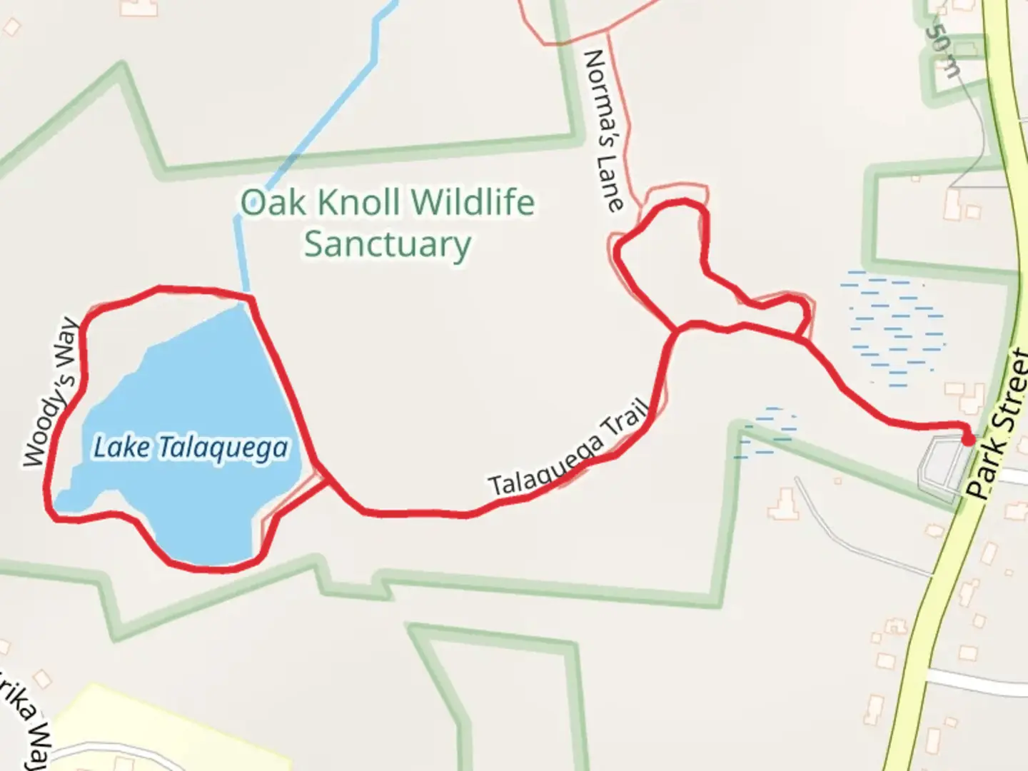 An image depicting the trail Lake Talaquega Loop from Park Street and its surrounding area.
