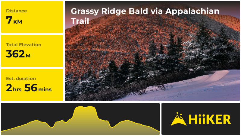 Grassy Ridge Bald via Appalachian Trail | Carter County | Tennessee