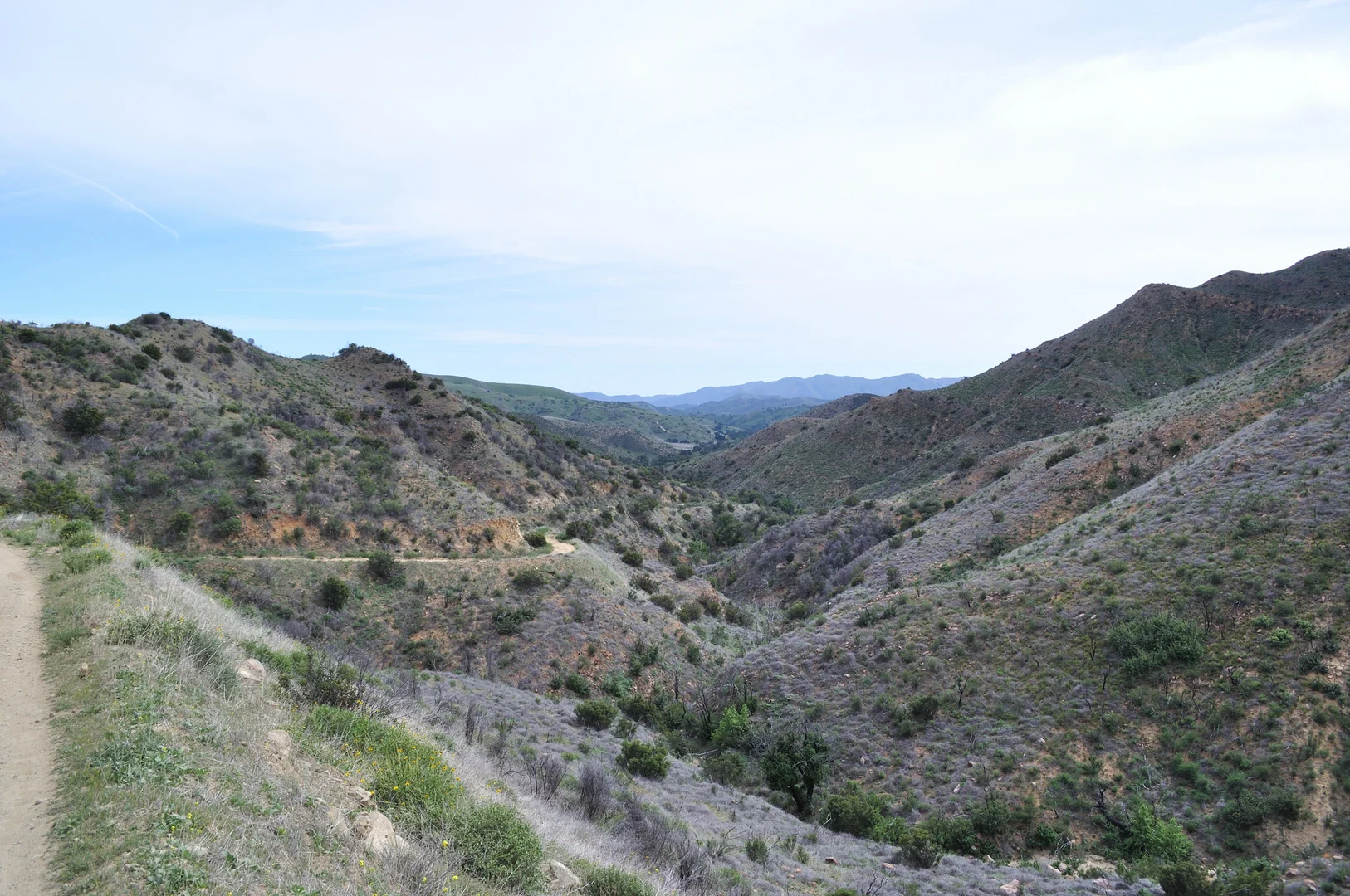 An image depicting the trail Cheeseboro Canyon Trail and Cheeseboro Ridge Trail and its surrounding area.