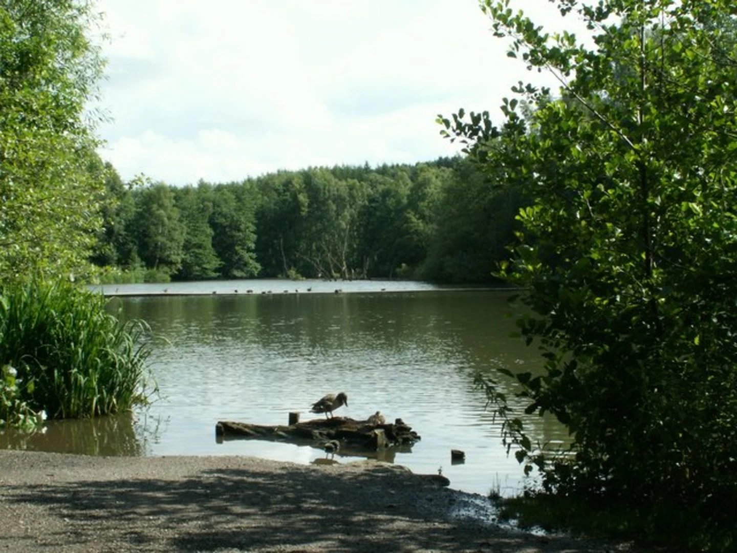 An image depicting the trail Newmillerdam Loop and its surrounding area.