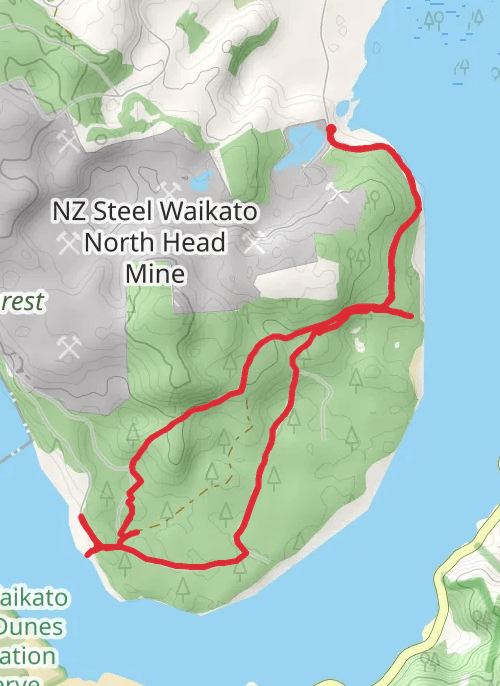 Hike on Waiuku Forest Walk mobile static map