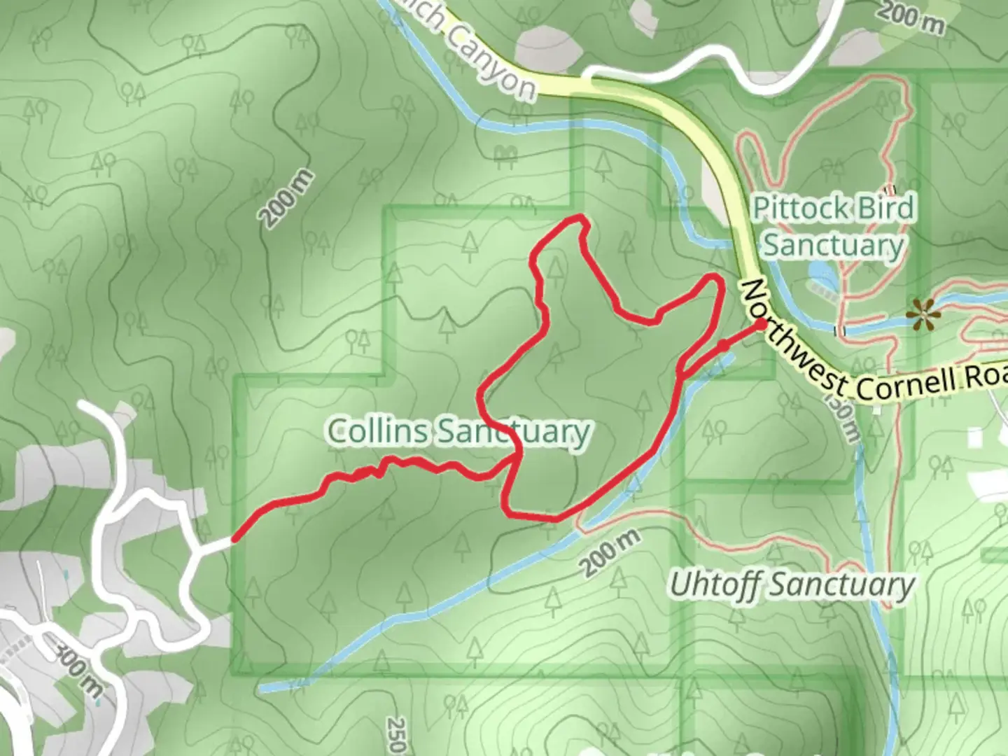 An image depicting the trail North and South Collins Loop Trail and its surrounding area.