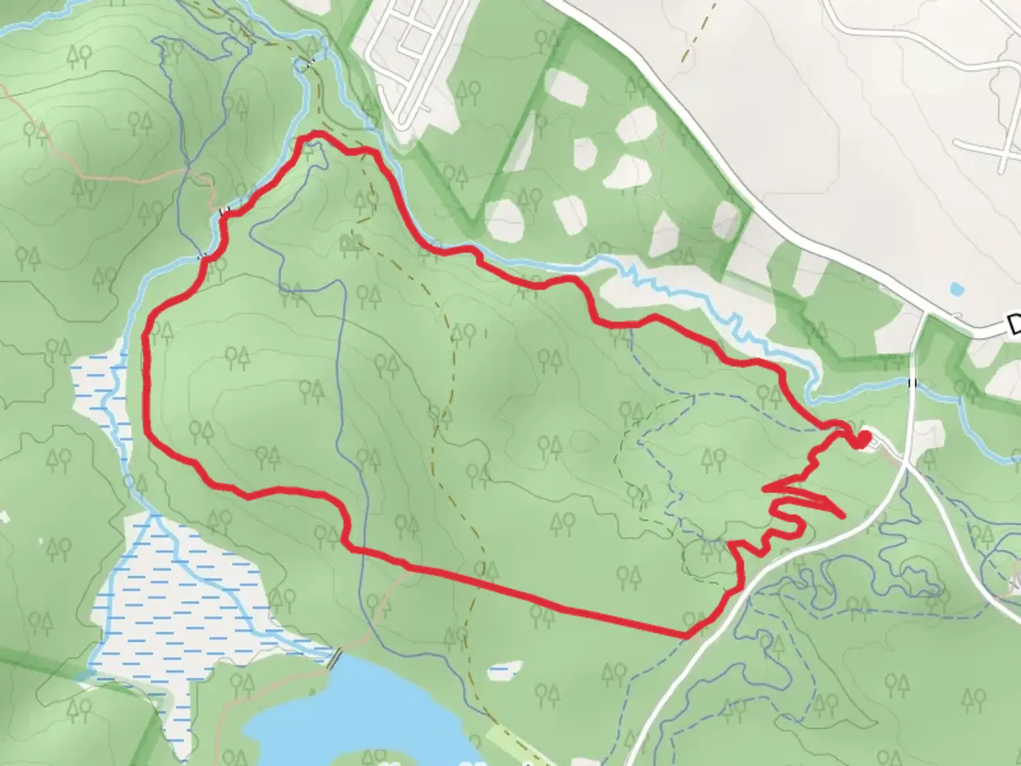 An image depicting the trail Bear Brook Lower and Sentinel Pine Loop Trail and its surrounding area.