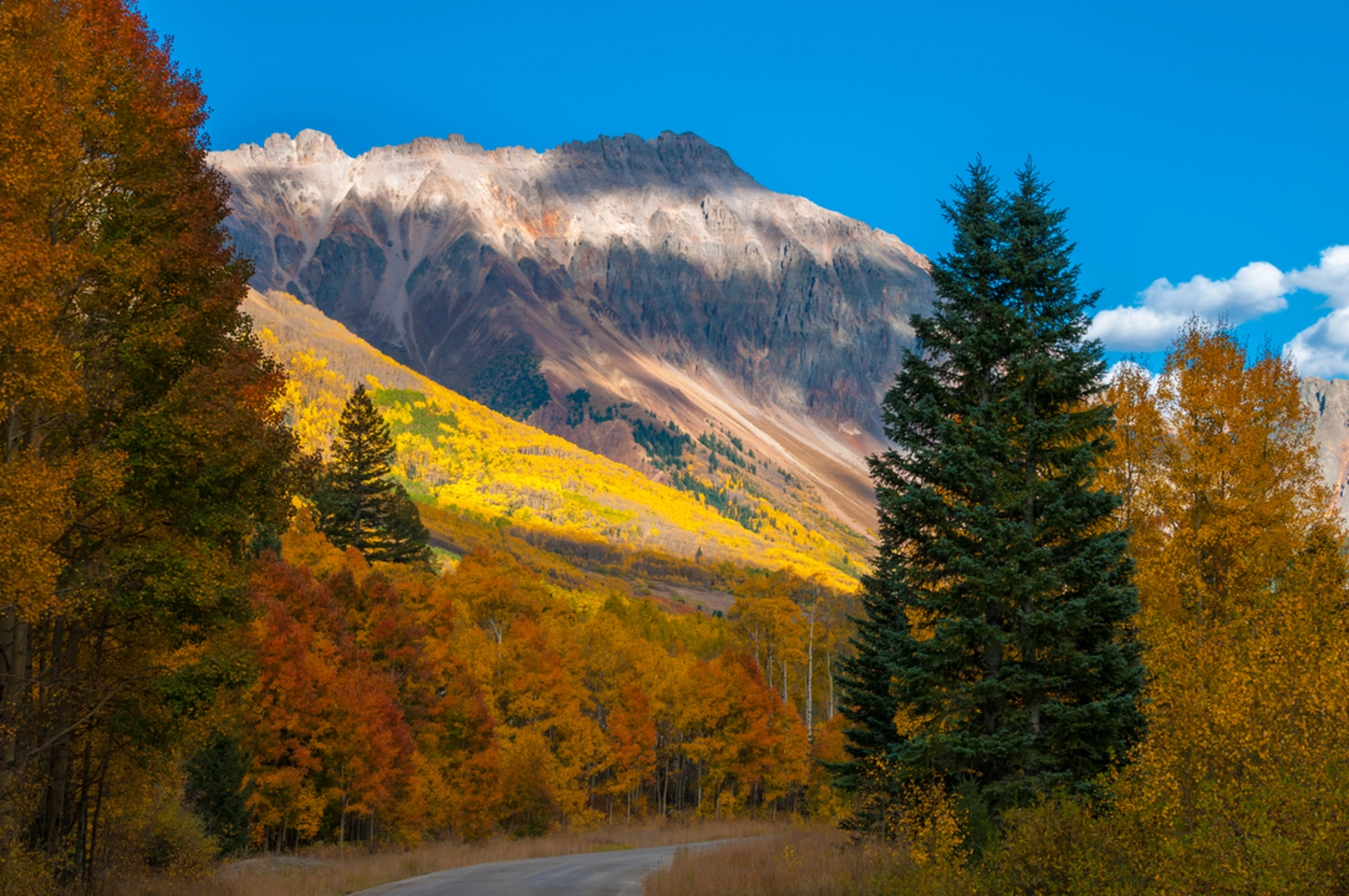An image depicting the trail East Fork Bear Creek Trail and its surrounding area.