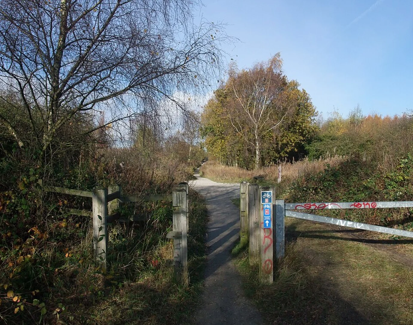 An image depicting the trail Freckland Wood and its surrounding area.