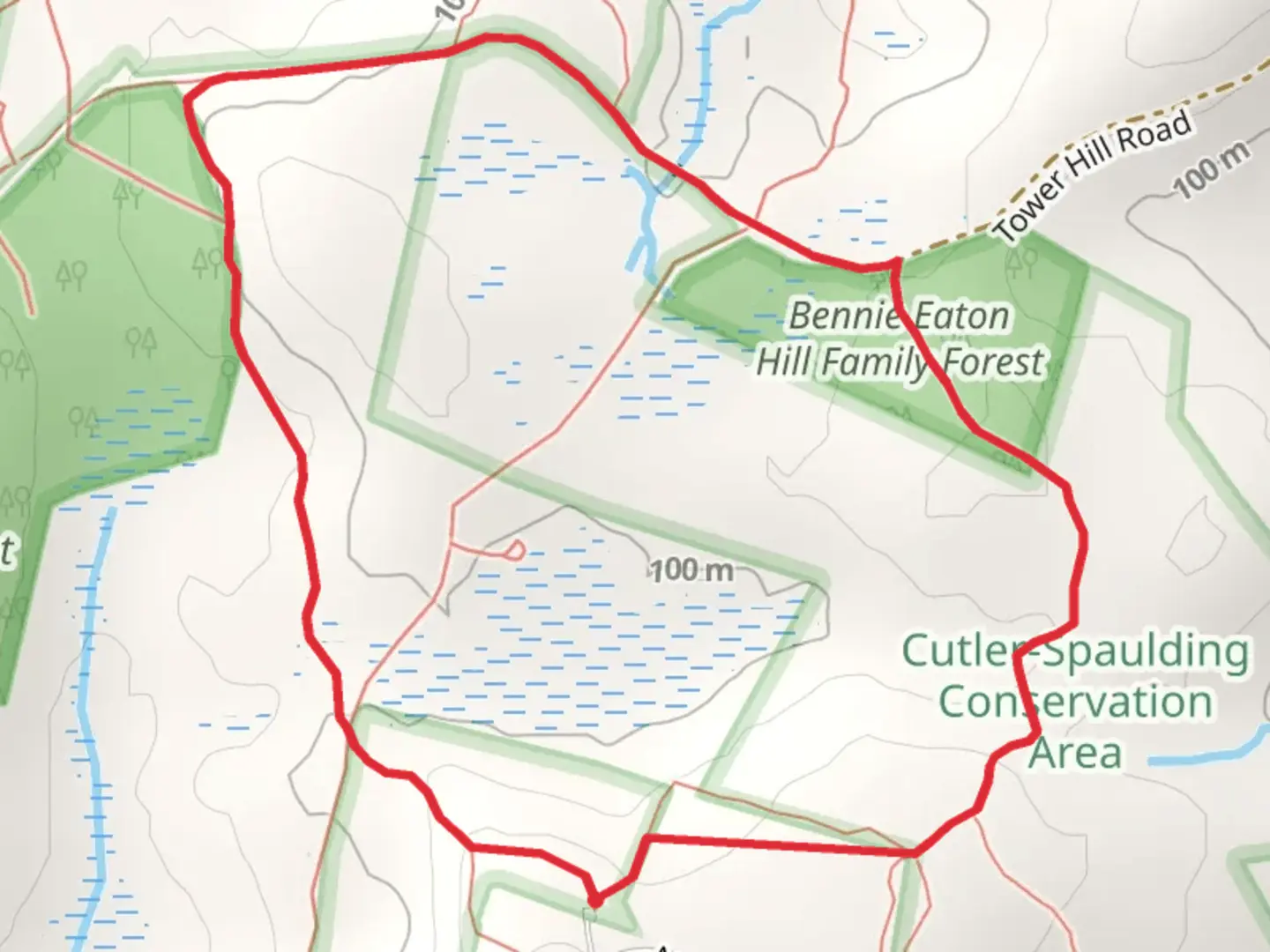 An image depicting the trail Gumpus Hill Connector Loop Trail and its surrounding area.