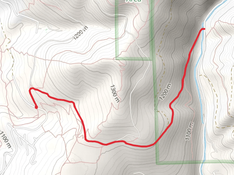 Jumbo Saddle Road and Marshall Grade