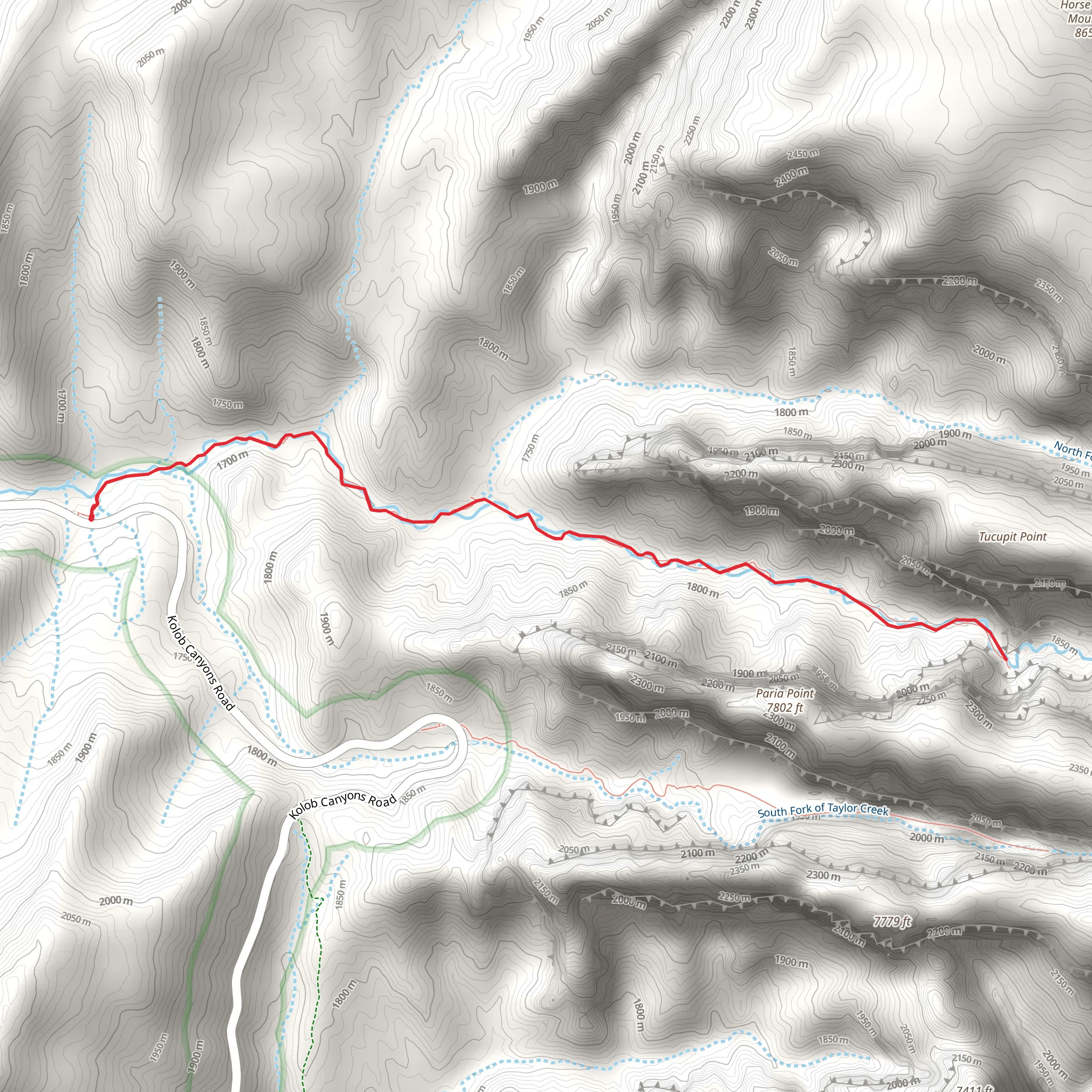 Middle Fork Taylor Creek Trail mobile static map