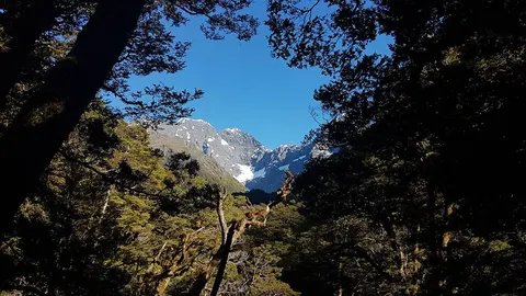 Mistake Creek Track
