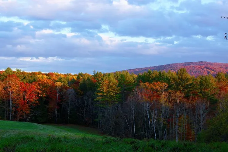 Velvet Rocks Trail
