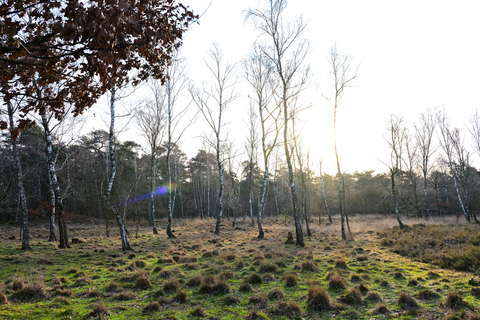 Panorama Weg, Doctor Hartogs Weg and Born Weg
