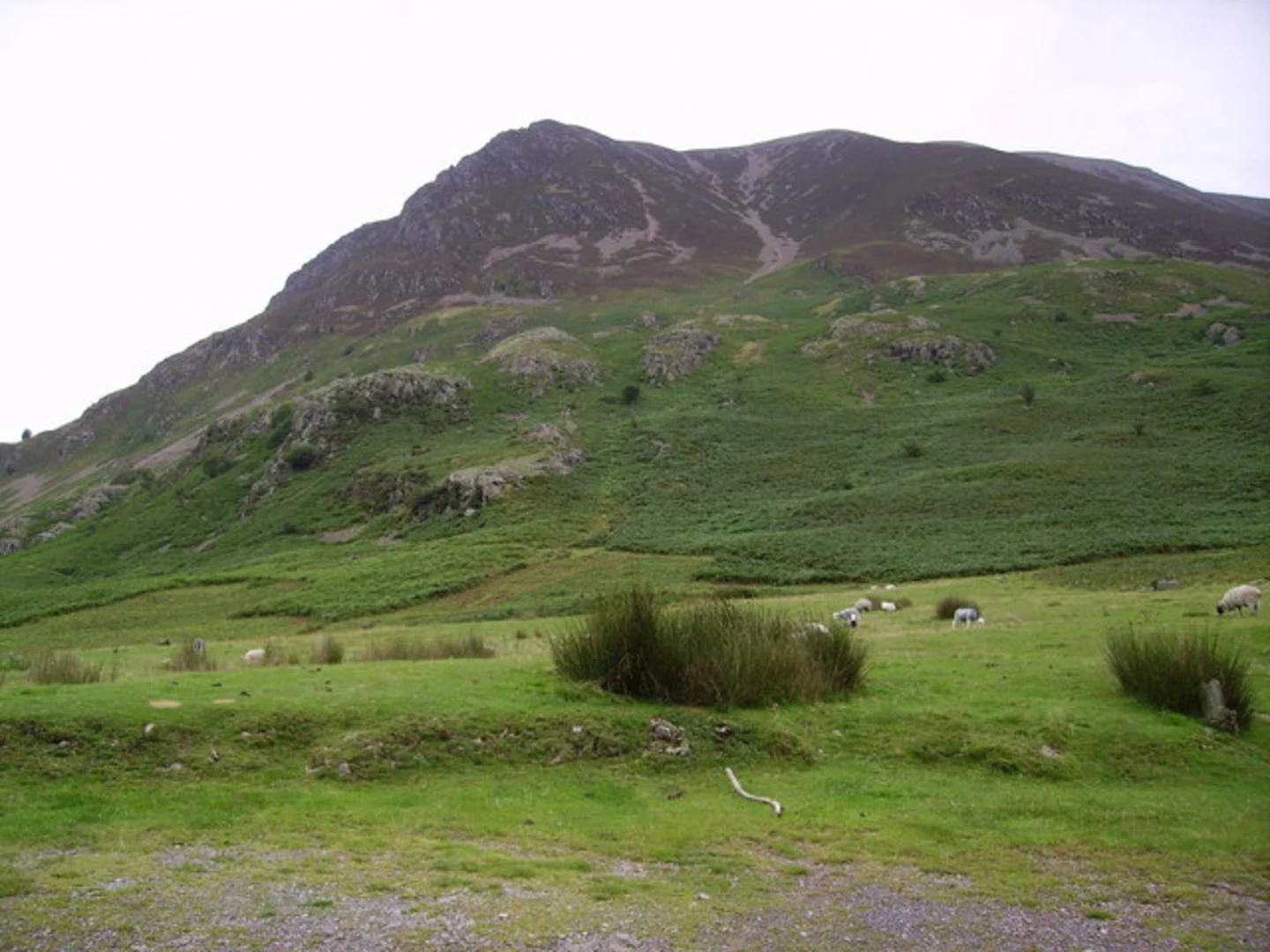 An image depicting the trail Knott Rigg, Ard Crags, Grasmoor and Whiteless Pike Loop via Newlands Pass and its surrounding area.